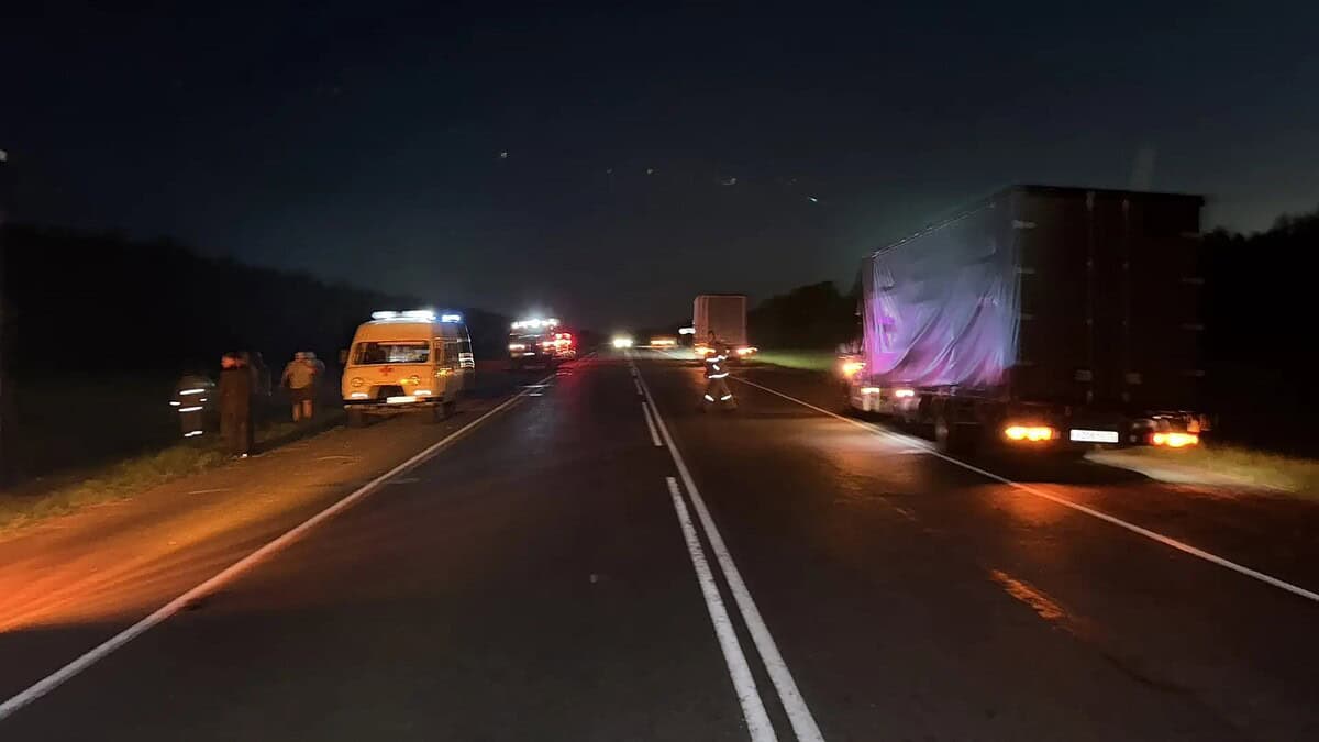 Фото: Госавтоинспекция Республики Мордовия