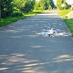Фото: Администрация Ромодановского района