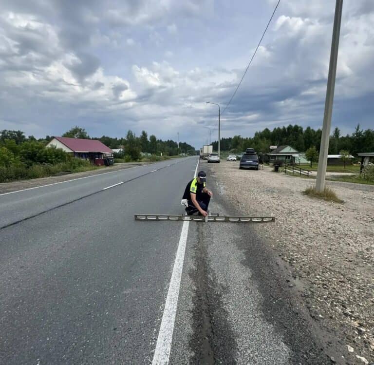 Фото: Госавтоинспекция Республики Мордовия