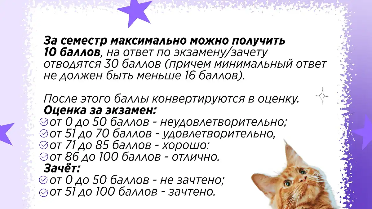 Фото: официальный канал MAX Привет, абитуриент МГУ им. Н.П. Огарёва!