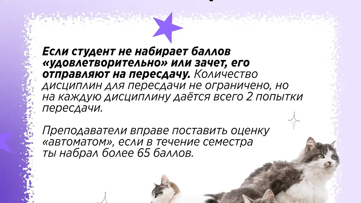 Фото: официальный канал MAX Привет, абитуриент МГУ им. Н.П. Огарёва!