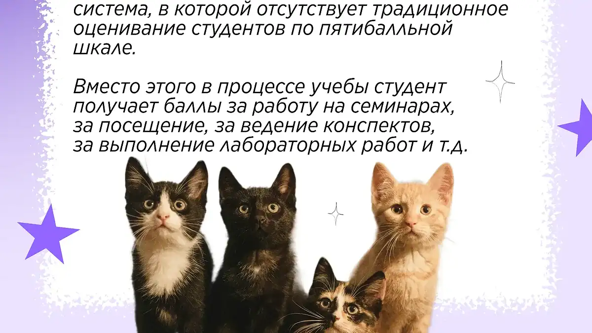 Фото: официальный канал MAX Привет, абитуриент МГУ им. Н.П. Огарёва!