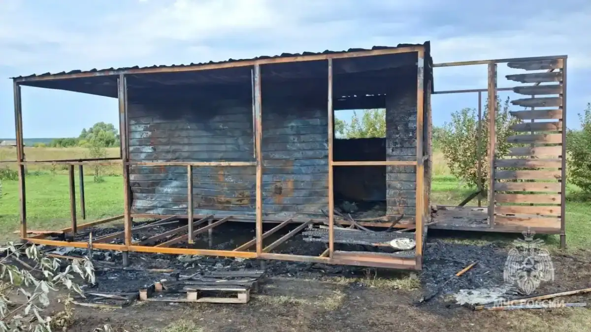 Фото: официальный канал MAX МЧС Мордовии