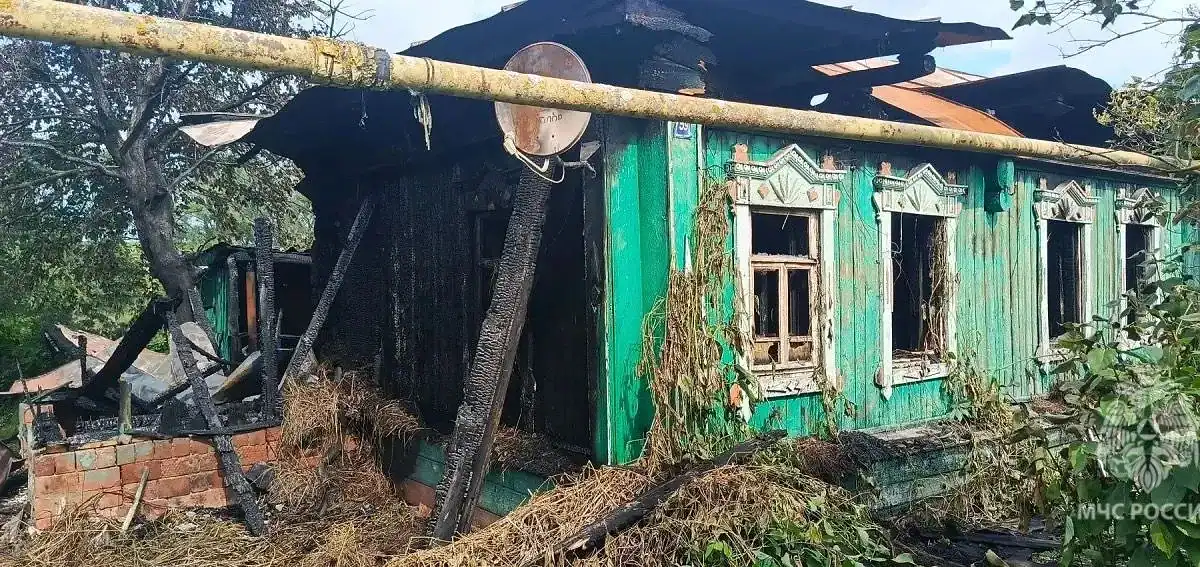 Фото: официальный канал MAX МЧС Мордовии