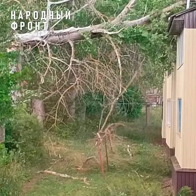 Фото: официальный канал MAX Народный фронт | Республика Мордовия