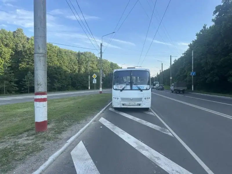 Фото: официальный канал MAX МВД по Республике Мордовия