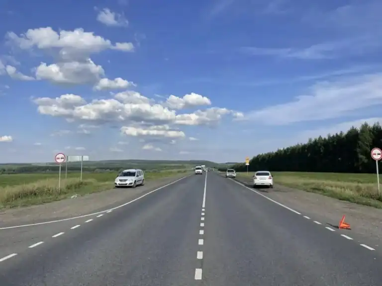 Фото: официальный канал MAX МВД по Республике Мордовия