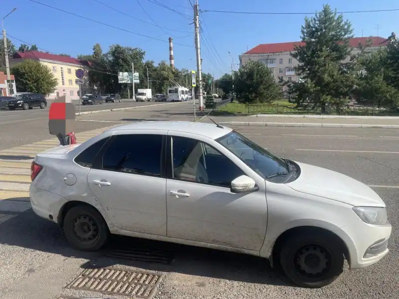 Фото: официальный канал MAX МВД по Республике Мордовия