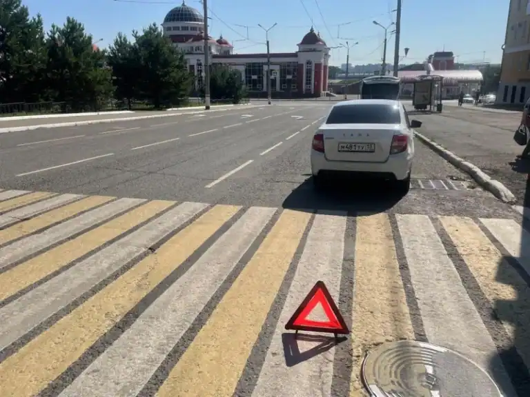 Фото: официальный канал MAX МВД по Республике Мордовия