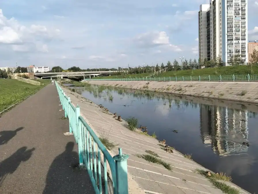 Фото: официальный канал MAX Минлесхоз Республики Мордовия