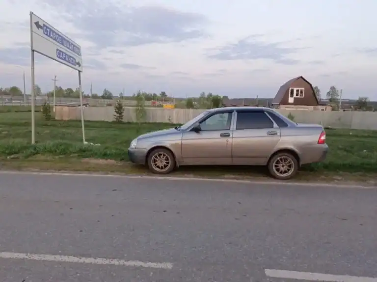 Фото: официальный канал MAX МВД по Республике Мордовия