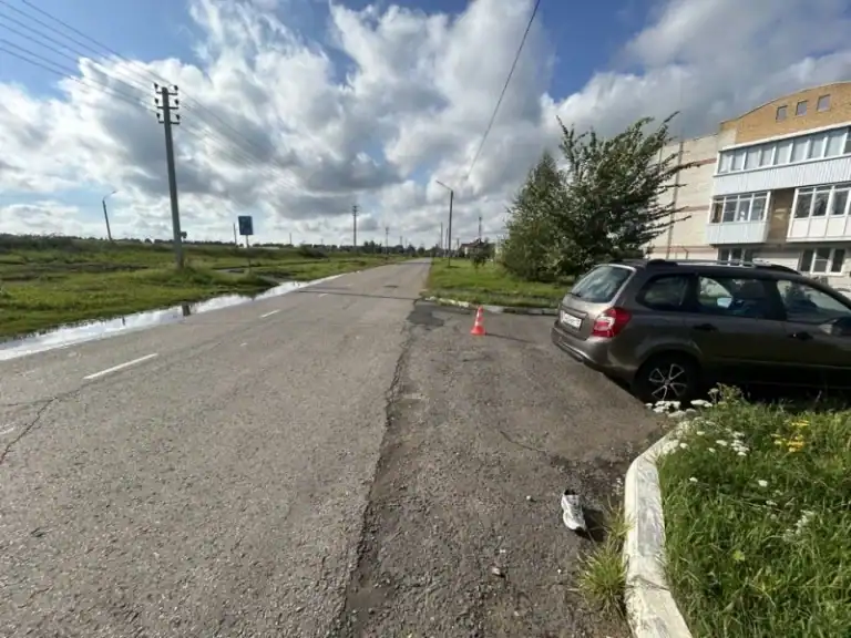 Фото: официальный канал MAX МВД по Республике Мордовия