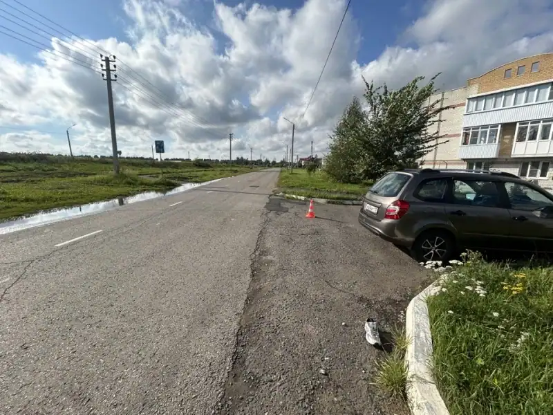 Фото: официальный канал MAX МВД по Республике Мордовия