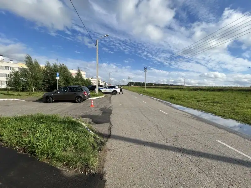 Фото: официальный канал MAX МВД по Республике Мордовия