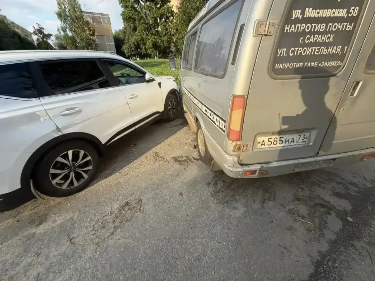 Фото: официальный канал MAX МВД по Республике Мордовия
