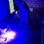 Фото: официальный канал MAX Следком Мордовии