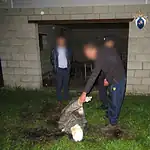 Фото: официальный канал MAX Следком Мордовии
