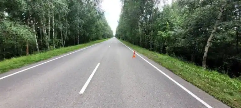 Фото: МВД по Республике Мордовия