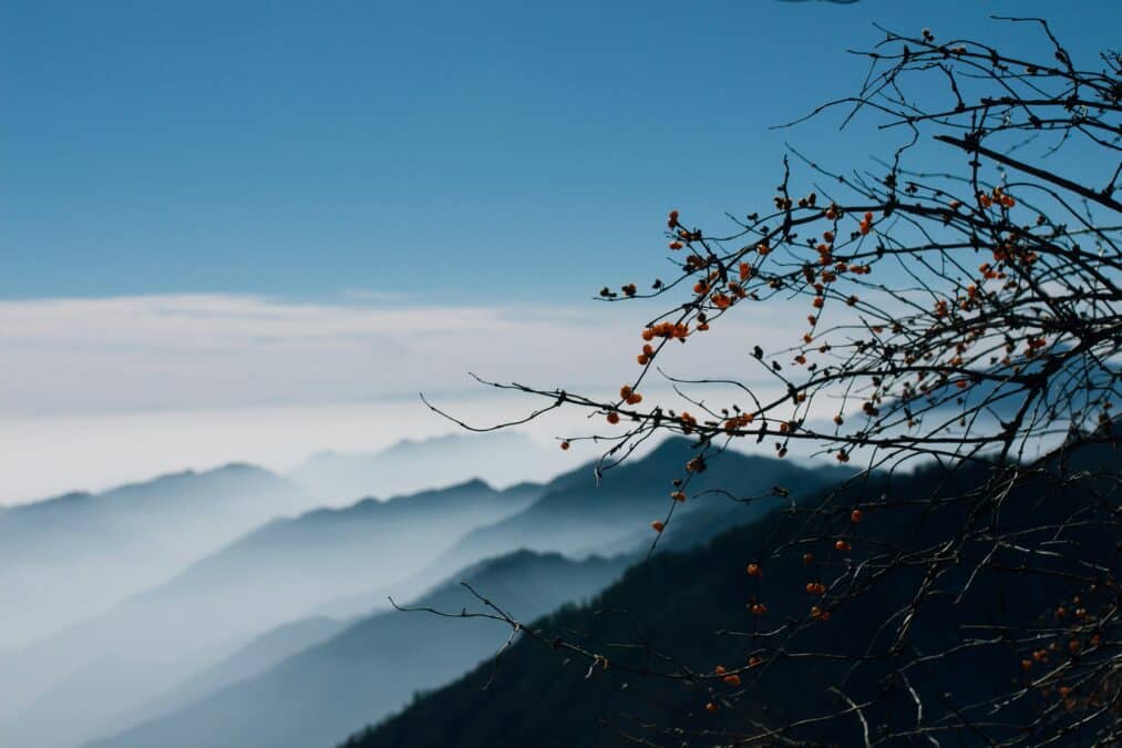 Фото: Joey Huang / Unsplash