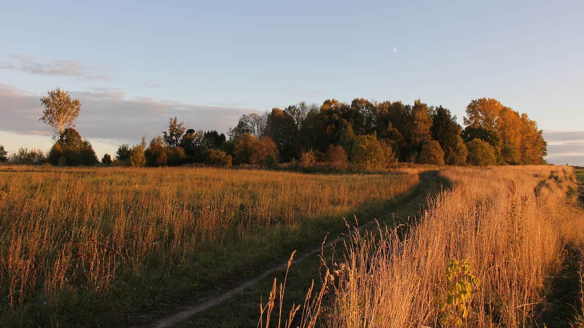 Фото: wikimedia/Геннадий Иванов/CC BY-SA 4.0