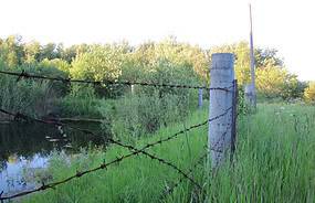 Фото: wikimedia/No Redeeming Value/CC BY-SA 3.0
