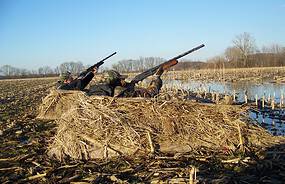 Фото: wikimedia/U.S. Fish and Wildlife Service Southeast Region/Public domain