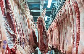 Фото: wikimedia/Mira Meat/CC BY-SA 4.0