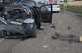 Фото: скриншот с видео