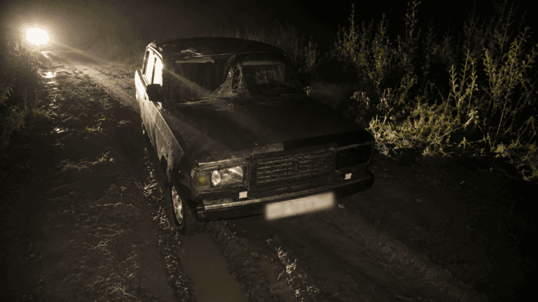 Фото: МВД по Республике Мордовия