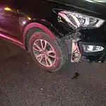 Фото: официальный канал MAX МВД по Республике Мордовия