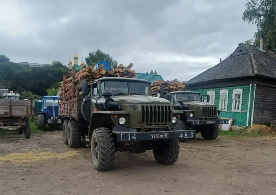 Фото: официальный канал MAX Минлесхоз Республики Мордовия