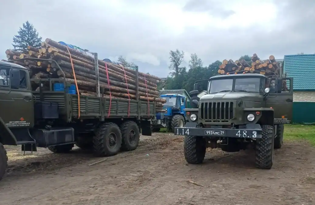 Фото: официальный канал MAX Минлесхоз Республики Мордовия