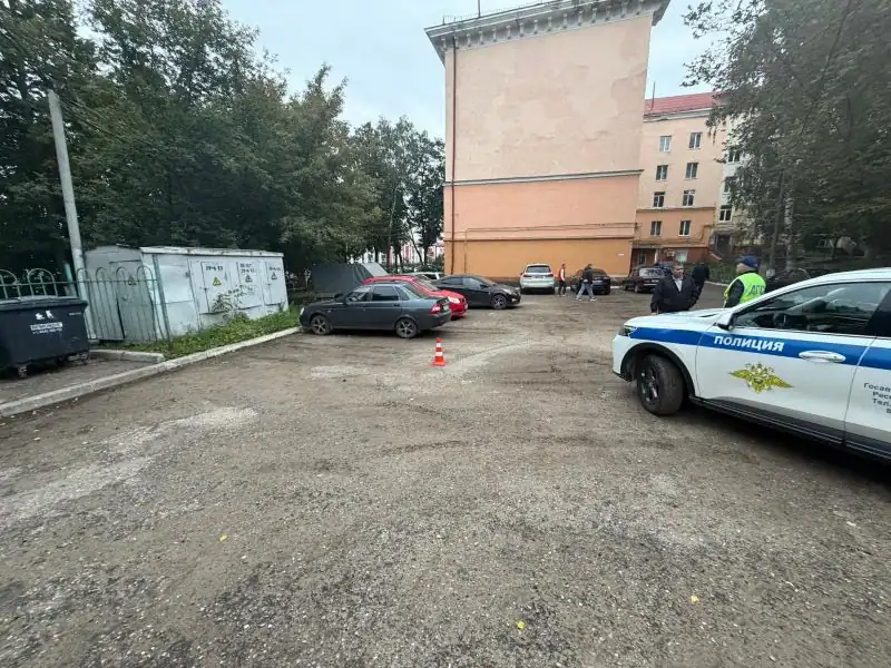 Фото: официальный канал MAX МВД по Республике Мордовия